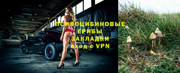 мдпв Верея