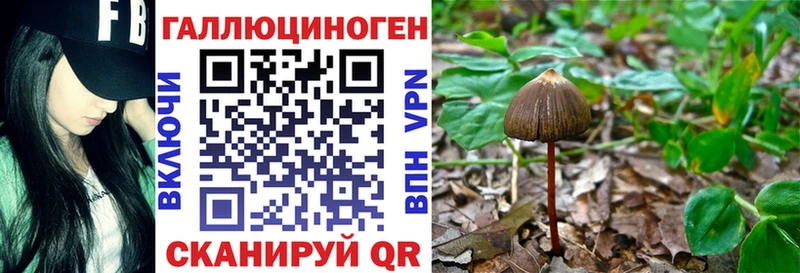 Псилоцибиновые грибы Cubensis  как найти   Ясногорск 